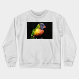 Colorful Bird Crewneck Sweatshirt